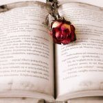 De la novela de la crisis a la crisis de la autoficción