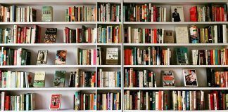 Un libro al día: Diez años publicando una reseña cada día, sin faltar uno