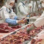 Nicaragua se afianza como líder exportador de carne bovina en Centroamérica