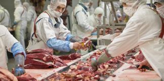 Nicaragua se afianza como líder exportador de carne bovina en Centroamérica