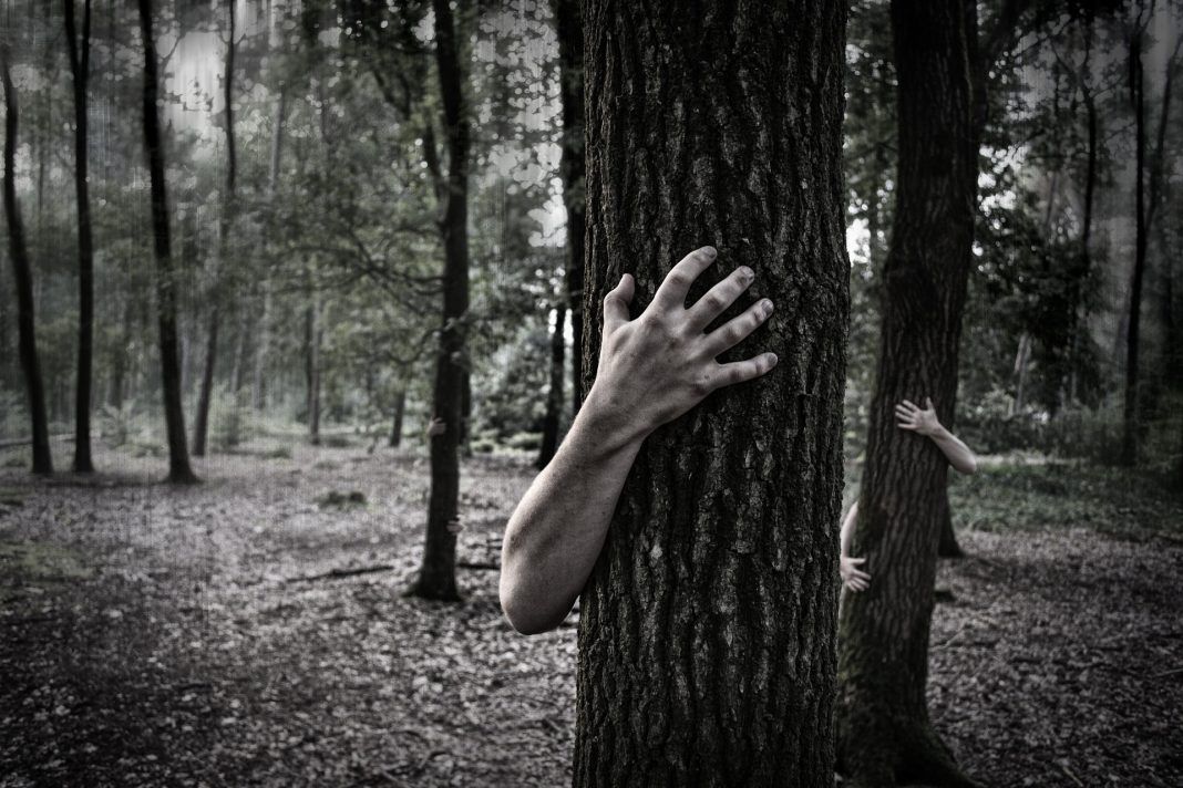 hands-984032_1920