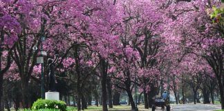Yo he estado en Tucumán