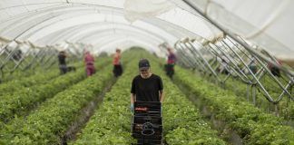 «Por la convivencia y contra la manipulación» (Comunicado de prensa de la Asociación de Trabajadores Inmigrantes Marroquíes en España)