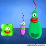 La animación acerca la microbiología a todos los públicos en la exposición “Microbiología: explorando más allá de lo visible”