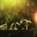 La crisis energética y social: retos