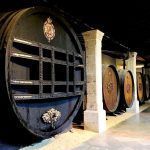 Un veraneo diferente: «Veranea en la bodega»