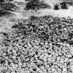 Nankín: el genocidio olvidado