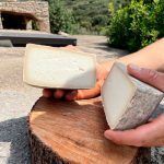mercadillo-quesos-laplanet-500×500