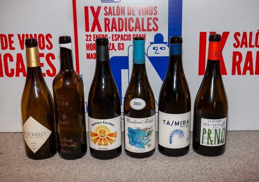 VINOS DE LA CATA CÁDIZ EN BLANCO PURO
