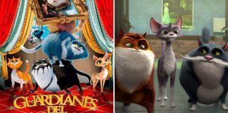 Conoce a los auténticos gatos que custodian el museo Hermitage de Rusia inspiración de «Guardianes del Museo»