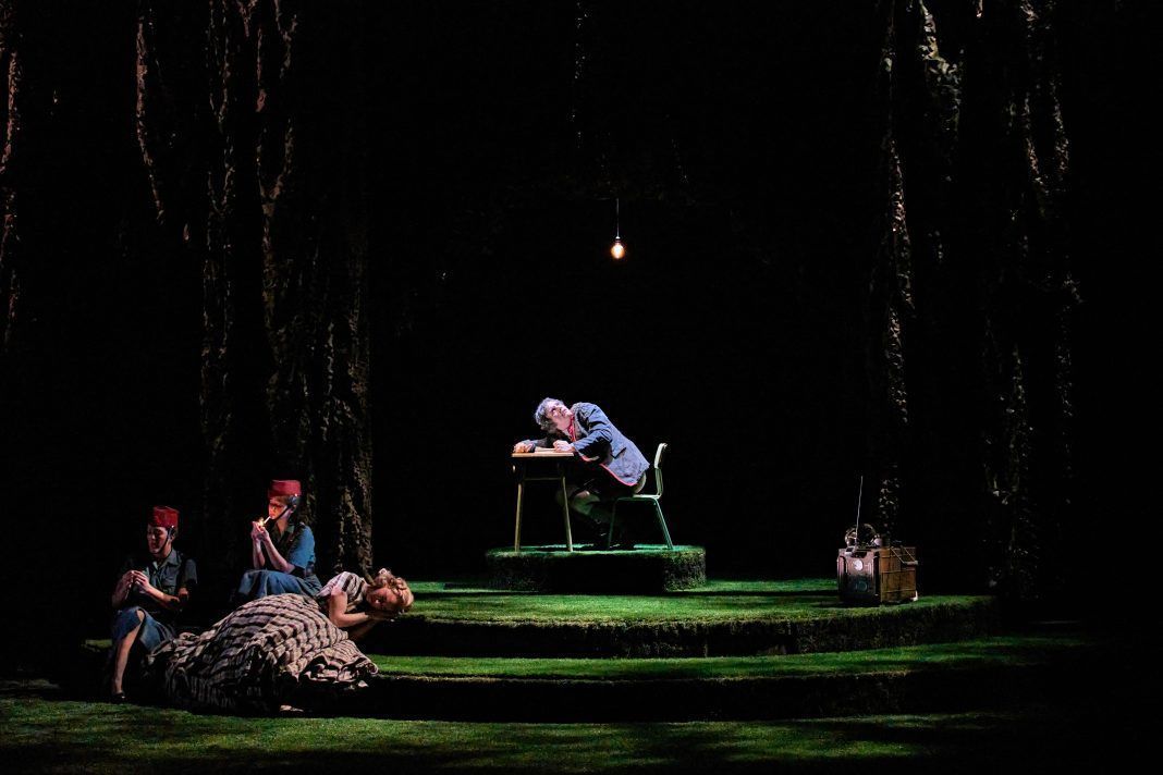 El monstruo de los jardines_escena_foto_Sergio_Parra_013