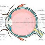 images (1)