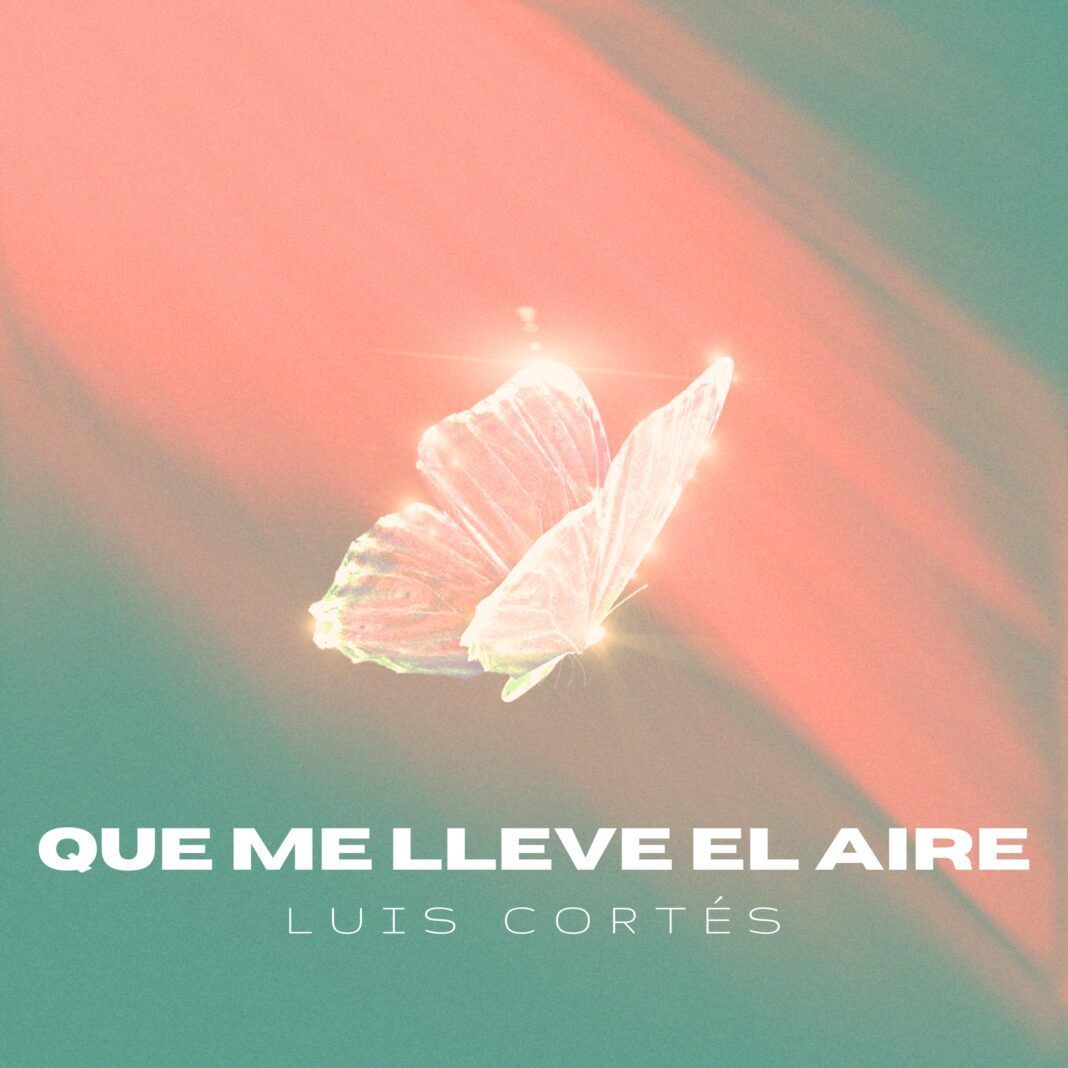 PORTADA QUE ME LLEVE EL AIRE