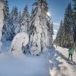 Sumava 309838-zimni-sumava-in-winter Credit Aleš Motejl – LR
