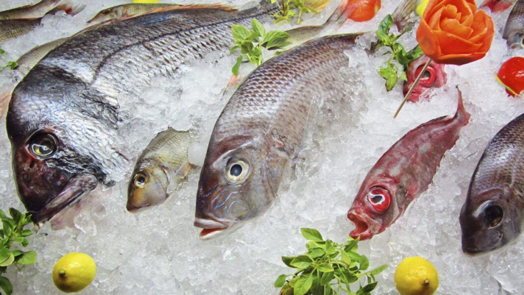 img_pescado-fresco-sa-hd-1280x720