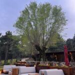 Imagen RUGE – terraza
