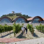 Protos_Momentos_bodega_40