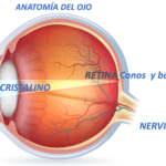 Imagen2