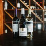 VINOS NUEVO MUNDO 2