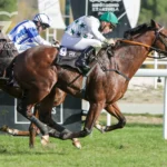 Vuelven las carreras al Hipódromo de la Zarzuela