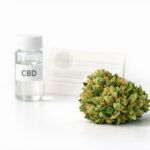 Qué determina la calidad de las flores de CBD