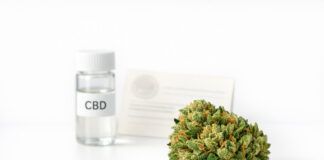 Qué determina la calidad de las flores de CBD