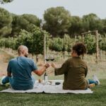 Picnic FV