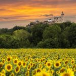Castillo de Kuneticka en region Pardubice 660518 Credit Pardubicko – Perníkové srdce Čech – z.s.