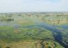 Botswana, el corazón salvaje que África decidió proteger