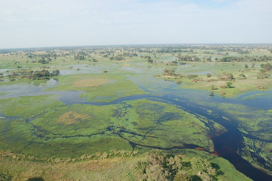 Okavango_Delta,_Botswana_(2674364913)