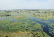 Botswana, el corazón salvaje que África decidió proteger