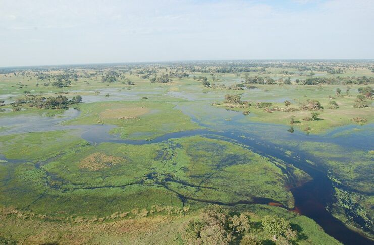 Botswana, el corazón salvaje que África decidió proteger